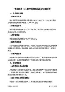 天和防務(wù)2024年三季度財(cái)務(wù)風(fēng)險(xiǎn)分析詳細(xì)報(bào)告