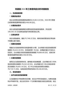 利德曼2024年三季度財(cái)務(wù)風(fēng)險(xiǎn)分析詳細(xì)報(bào)告