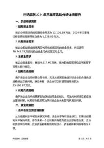 世紀鼎利2024年三季度財務風險分析詳細報告