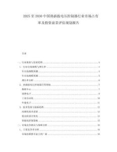 2025至2030中國熱插拔電壓控制器行業市場占有率及投資前景評估規劃報告