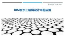BIM在水工結(jié)構(gòu)設(shè)計中的應(yīng)用-洞察剖析