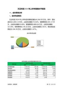 萬(wàn)正科技2024年上半年管理水平報(bào)告