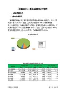 健盛集團2024年上半年管理水平報告