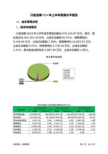 川發(fā)龍蟒2024年上半年管理水平報(bào)告
