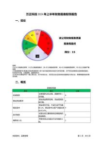 萬正科技2024年上半年財務報表粉飾報告