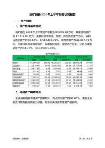 地礦股份2024年上半年財(cái)務(wù)狀況報(bào)告