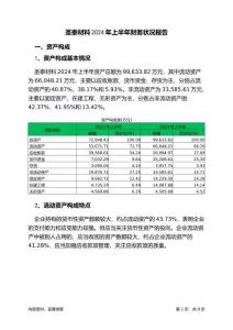 圣泰材料2024年上半年財務狀況報告