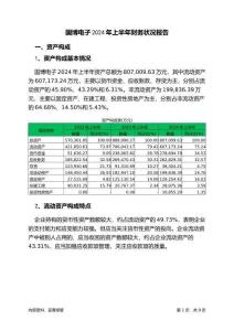 國博電子2024年上半年財務(wù)狀況報告