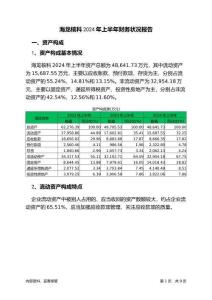 海龍核科2024年上半年財(cái)務(wù)狀況報(bào)告