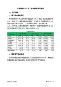 豐泰新材2024年上半年財(cái)務(wù)狀況報(bào)告