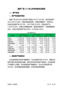 藍(lán)夢廣告2024年上半年財務(wù)狀況報告