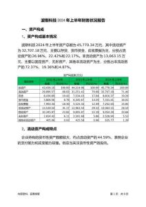 波斯科技2024年上半年財務狀況報告