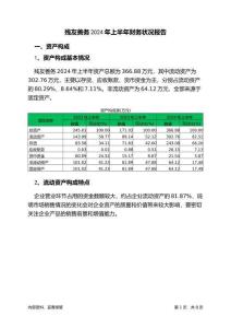 殘友善務(wù)2024年上半年財(cái)務(wù)狀況報(bào)告