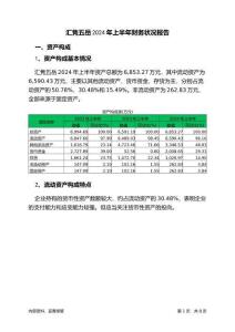 匯雋五岳2024年上半年財(cái)務(wù)狀況報(bào)告
