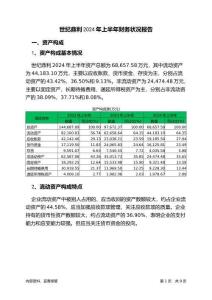 世紀鼎利2024年上半年財務狀況報告