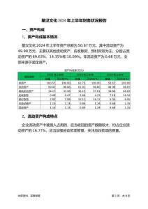 星漢文化2024年上半年財務狀況報告