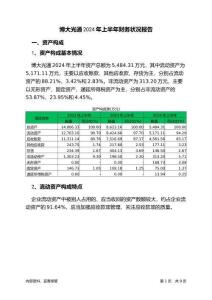 博大光通2024年上半年財(cái)務(wù)狀況報(bào)告