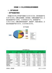 天和盛2024年上半年財務(wù)分析詳細(xì)報告