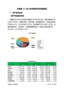 杰易森2024年上半年財(cái)務(wù)分析詳細(xì)報(bào)告