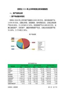吉邦士2024年上半年財(cái)務(wù)分析詳細(xì)報(bào)告