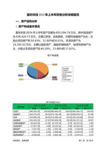 嘉環(huán)科技2024年上半年財(cái)務(wù)分析詳細(xì)報(bào)告