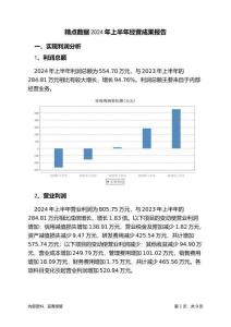 精點(diǎn)數(shù)據(jù)2024年上半年經(jīng)營成果報(bào)告