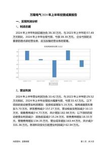 萬(wàn)隆電氣2024年上半年經(jīng)營(yíng)成果報(bào)告