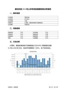 磐石科技2024年上半年貸后調(diào)查財務(wù)分析報告