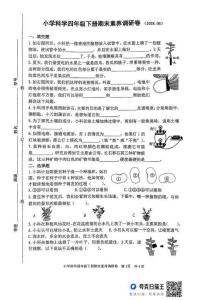 小學科學四年級下冊期末素養調研卷(202