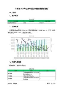 本本鼎2024年上半年信貸審批財(cái)務(wù)分析報(bào)告