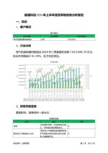 耀通科技2024年上半年信貸審批財(cái)務(wù)分析報(bào)告