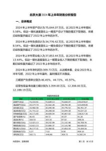 北京大源2024年上半年財(cái)務(wù)分析報(bào)告-銀行版