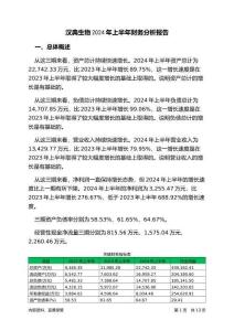 漢典生物2024年上半年財(cái)務(wù)分析報(bào)告-銀行版