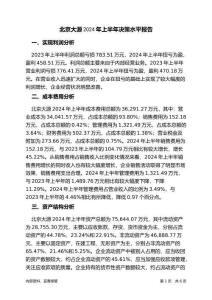北京大源2024年上半年決策水平分析報(bào)告