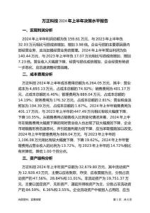 萬正科技2024年上半年決策水平分析報(bào)告