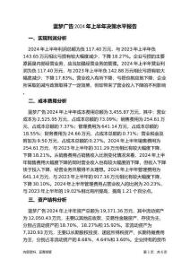 藍(lán)夢(mèng)廣告2024年上半年決策水平分析報(bào)告