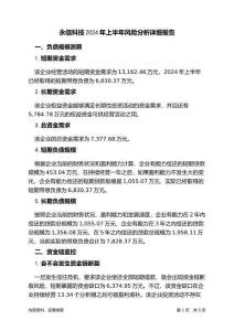 永信科技2024年上半年财务风险分析详细报告