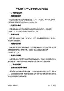 中胤時尚2024年上半年財務(wù)風(fēng)險分析詳細(xì)報告