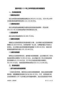 嘉環(huán)科技2024年上半年財(cái)務(wù)風(fēng)險(xiǎn)分析詳細(xì)報(bào)告
