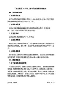 磐石科技2024年上半年財(cái)務(wù)風(fēng)險(xiǎn)分析詳細(xì)報(bào)告
