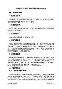 萬(wàn)隆制藥2024年上半年財(cái)務(wù)風(fēng)險(xiǎn)分析詳細(xì)報(bào)告