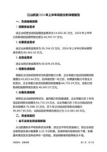 江山歐派2024年上半年財務風險分析詳細報告
