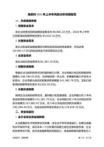 海思科2024年上半年財務(wù)風(fēng)險分析詳細(xì)報告