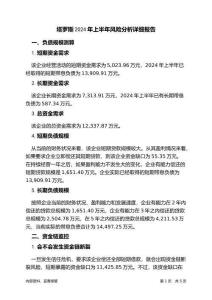 塔羅斯2024年上半年財務(wù)風(fēng)險分析詳細(xì)報告