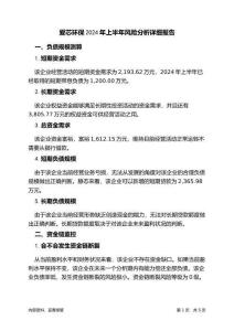 爱芯环保2024年上半年财务风险分析详细报告