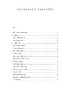 2025年銹漬去除劑項(xiàng)目市場(chǎng)調(diào)查研究報(bào)告