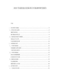 2025年成套浸出設(shè)備項(xiàng)目市場(chǎng)調(diào)查研究報(bào)告