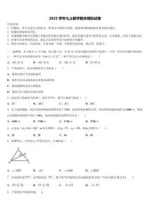 2025年廣東省深圳市翠園中學七年級數(shù)學第一學期期末預測試題含解析