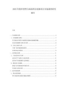 2025年簡單型黑白畫面四分割器項目市場調查研究報告