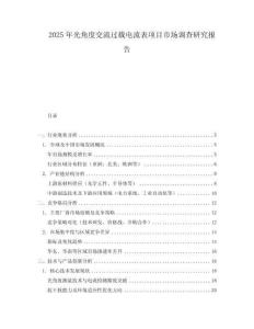 2025年光角度交流過載電流表項(xiàng)目市場調(diào)查研究報(bào)告